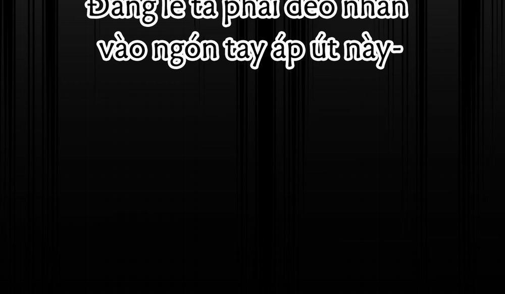 Những Chú Thỏ Của Hapypy 41 trang 173