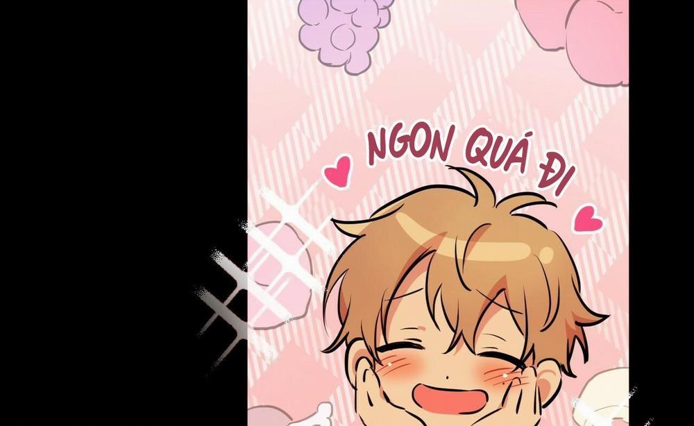 Những Chú Thỏ Của Hapypy 41 trang 202