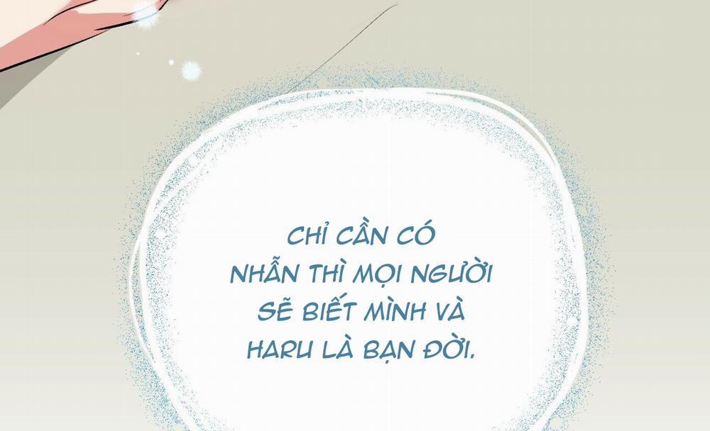 Những Chú Thỏ Của Hapypy 41 trang 221