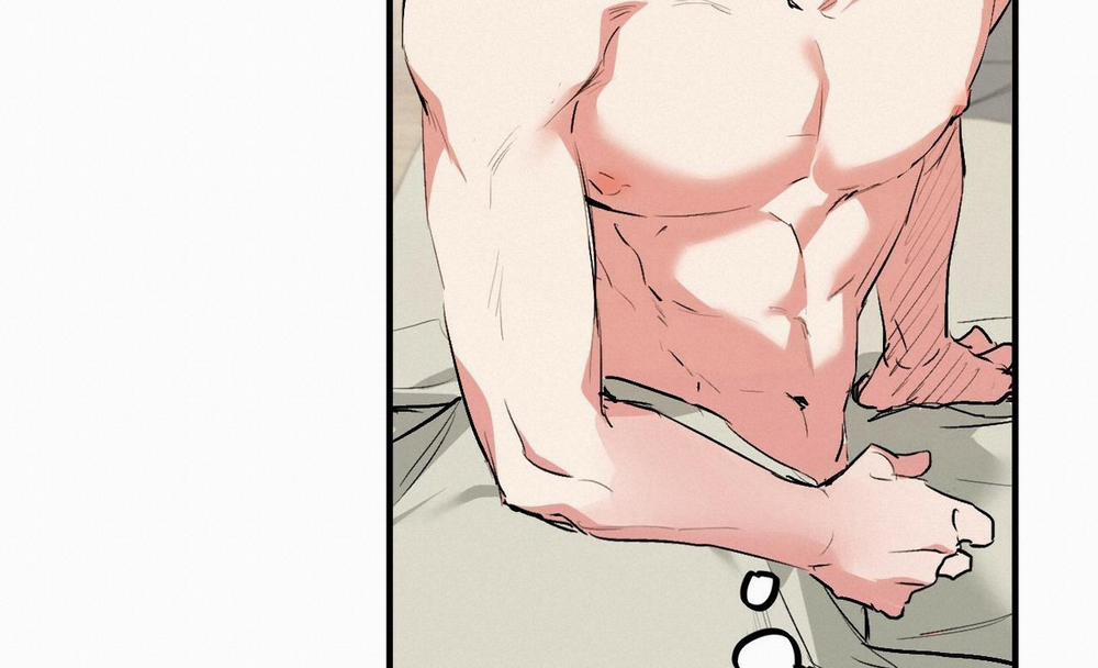 Những Chú Thỏ Của Hapypy 41 trang 227