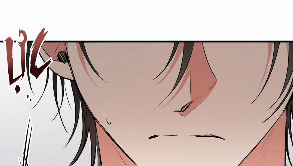 Những Chú Thỏ Của Hapypy 41 trang 243