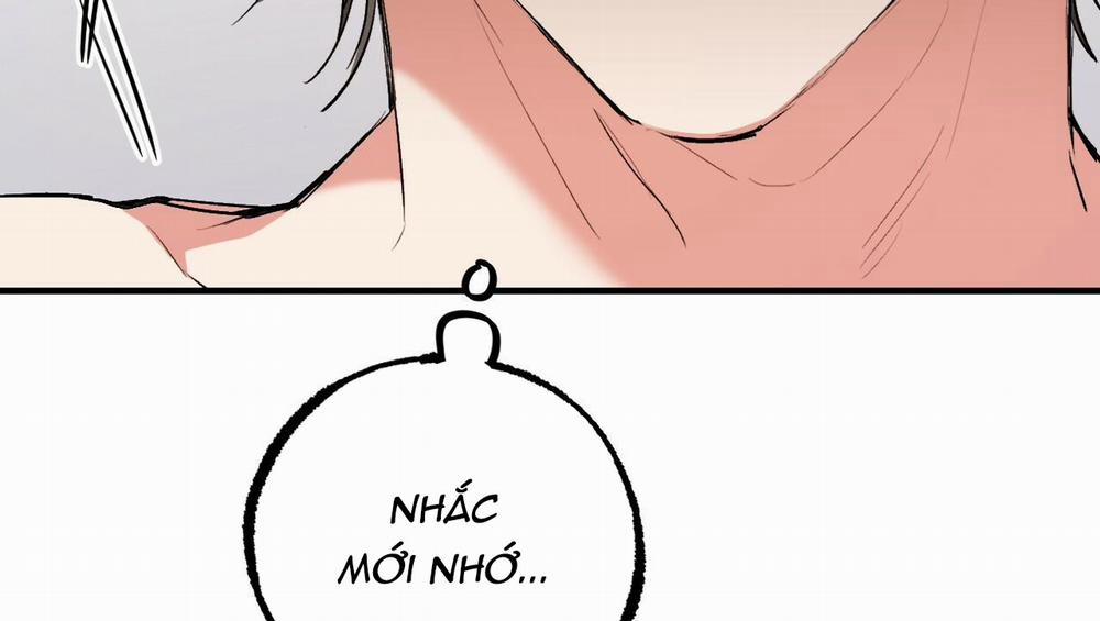 Những Chú Thỏ Của Hapypy 41 trang 244