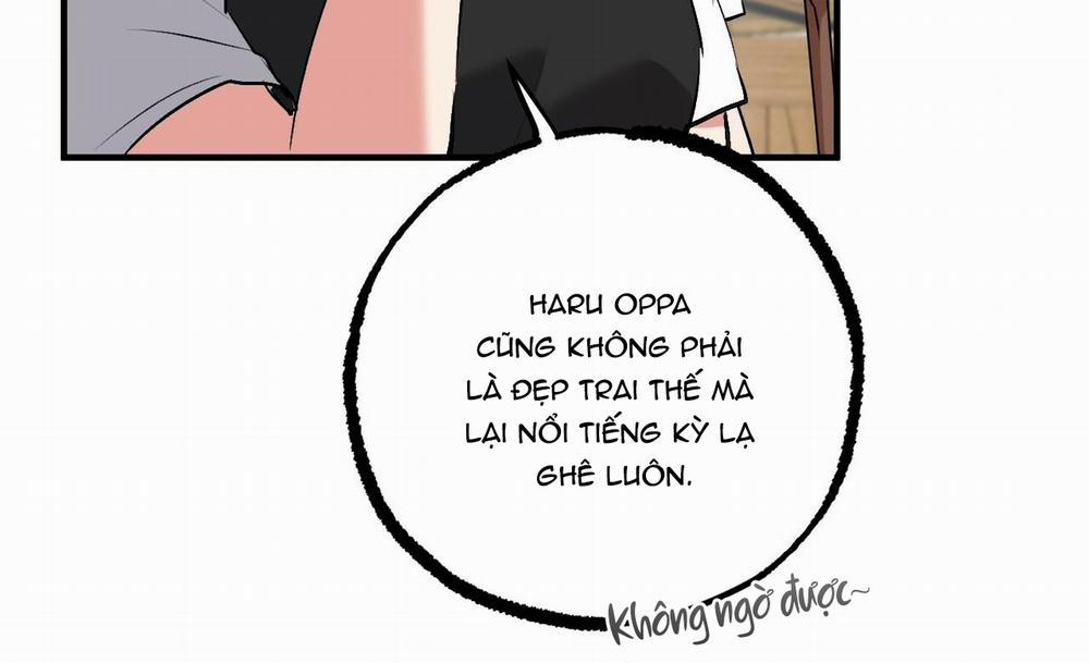 Những Chú Thỏ Của Hapypy 41 trang 28