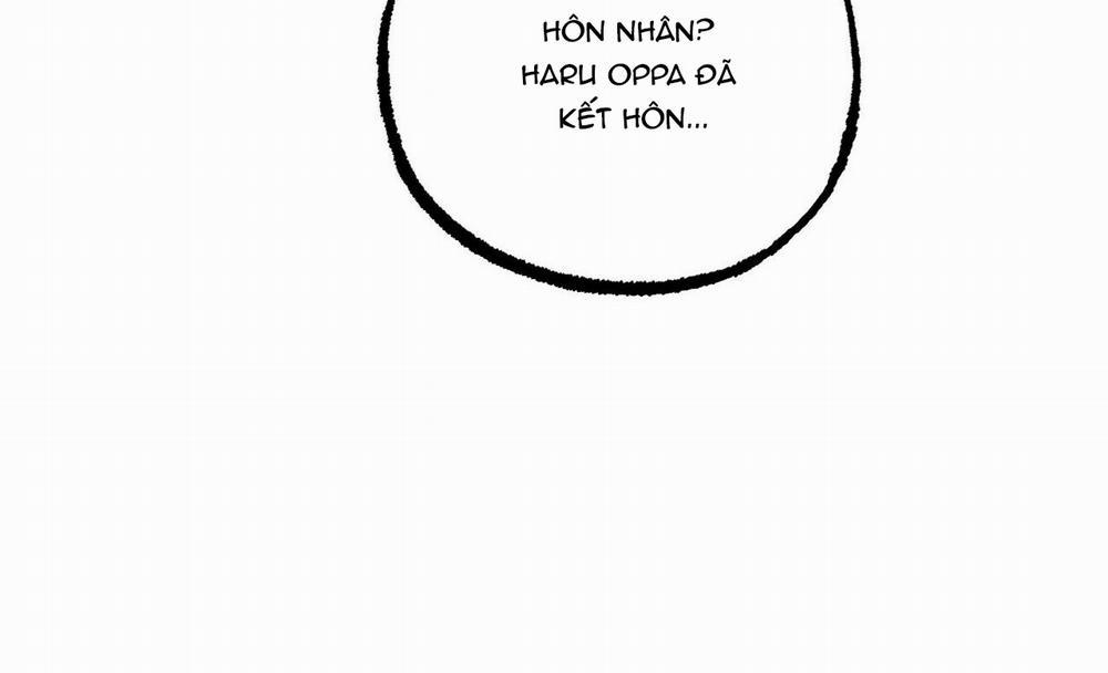 Những Chú Thỏ Của Hapypy 41 trang 39