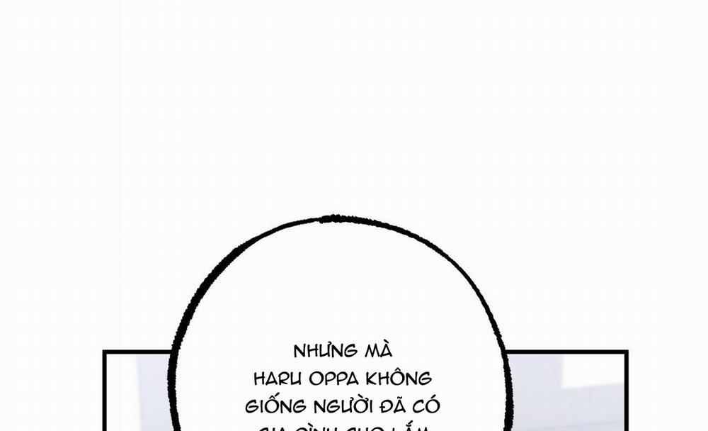 Những Chú Thỏ Của Hapypy 41 trang 49