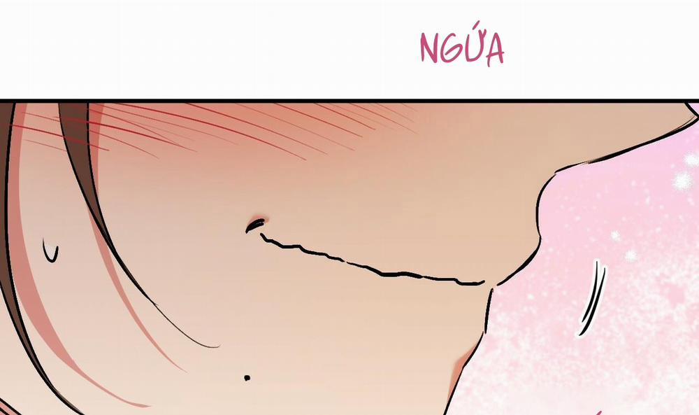 Những Chú Thỏ Của Hapypy 42 trang 119