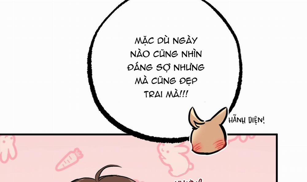 Những Chú Thỏ Của Hapypy 42 trang 148