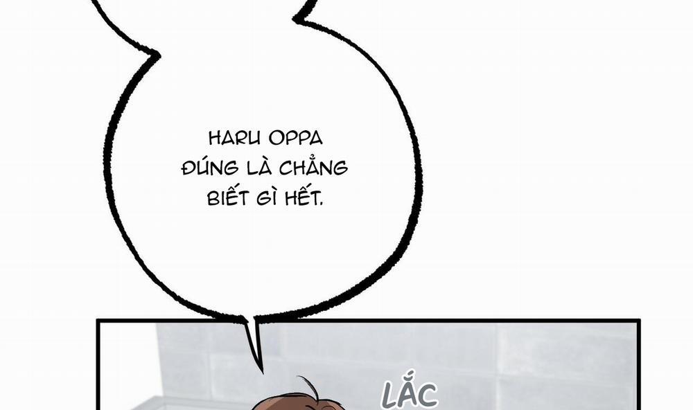 Những Chú Thỏ Của Hapypy 42 trang 166