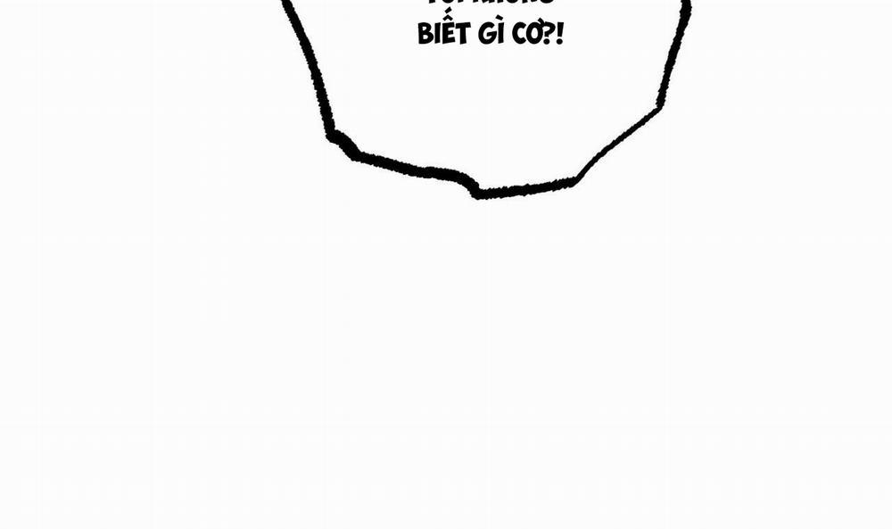 Những Chú Thỏ Của Hapypy 42 trang 169