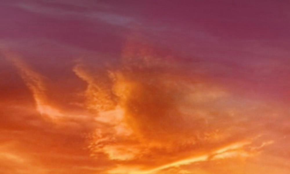 Những Chú Thỏ Của Hapypy 42 trang 188