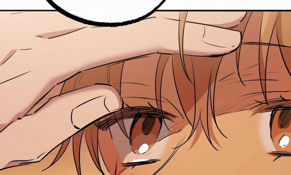 Những Chú Thỏ Của Hapypy 42 trang 201