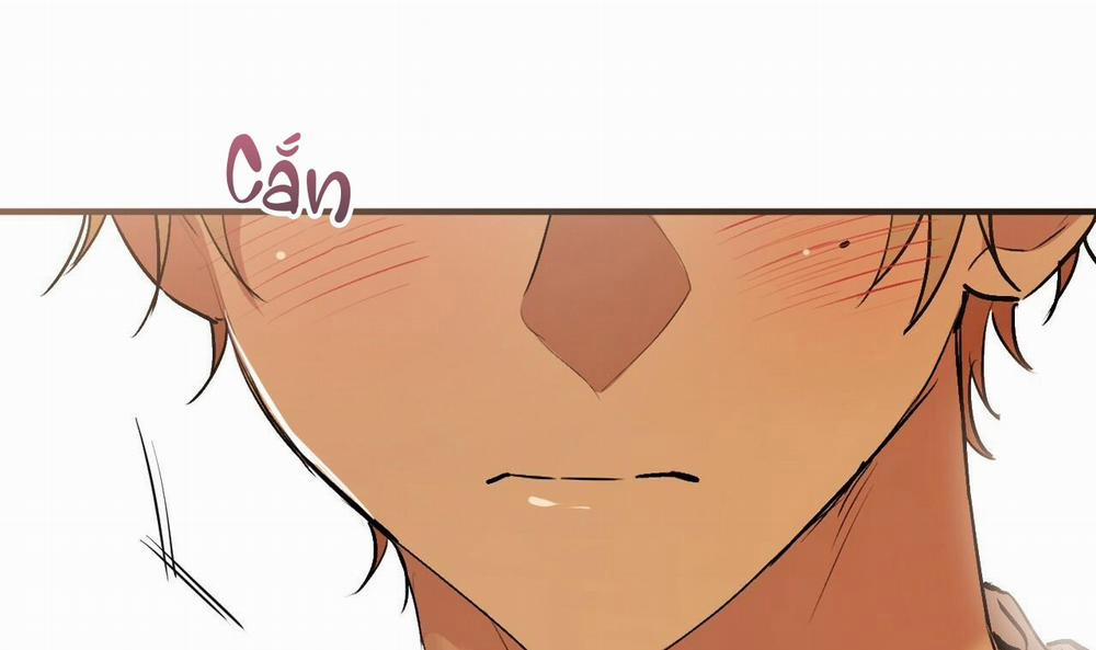 Những Chú Thỏ Của Hapypy 42 trang 207