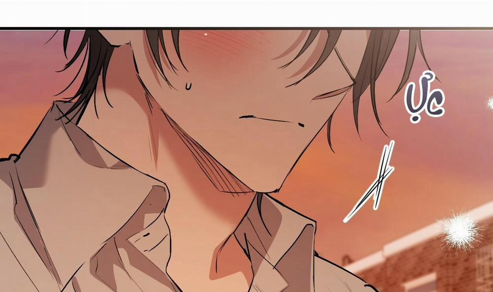 Những Chú Thỏ Của Hapypy 42 trang 232