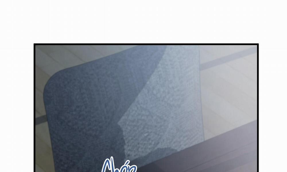 Những Chú Thỏ Của Hapypy 42 trang 24