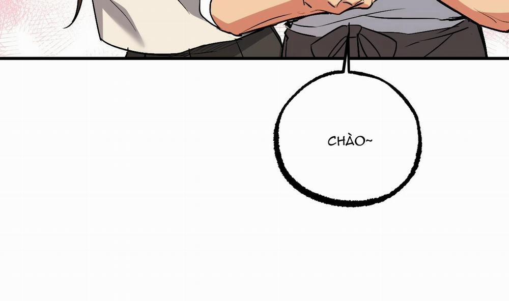 Những Chú Thỏ Của Hapypy 42 trang 72