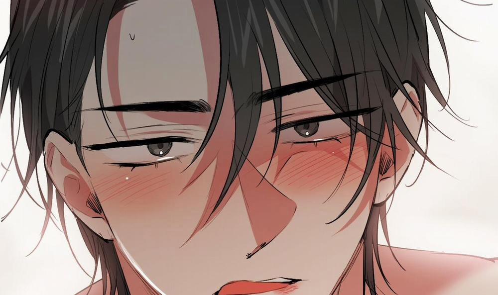 Những Chú Thỏ Của Hapypy 43 trang 110