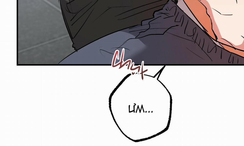 Những Chú Thỏ Của Hapypy 43 trang 13