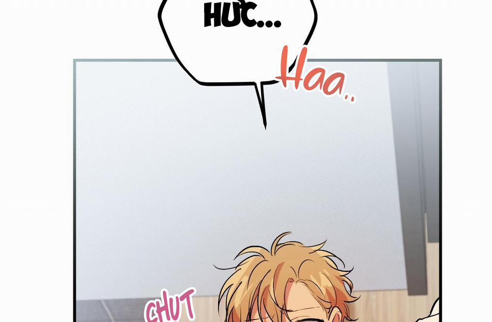 Những Chú Thỏ Của Hapypy 43 trang 136