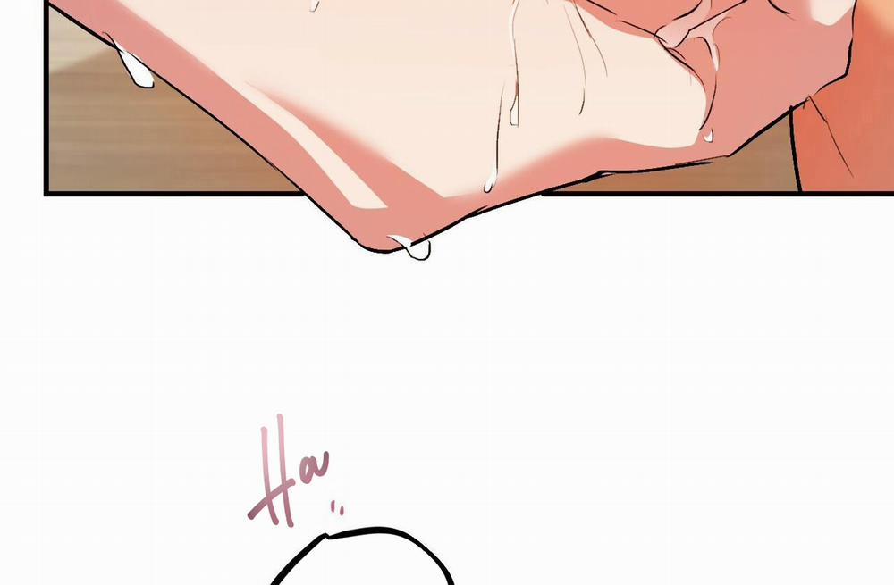 Những Chú Thỏ Của Hapypy 43 trang 147