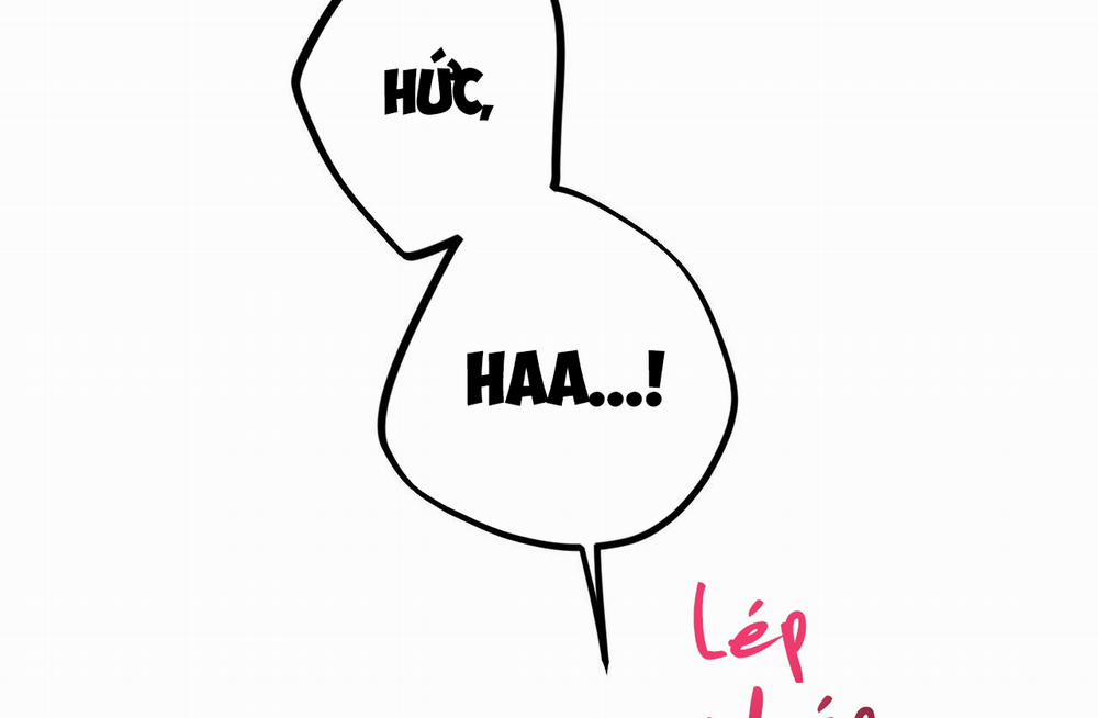 Những Chú Thỏ Của Hapypy 43 trang 148