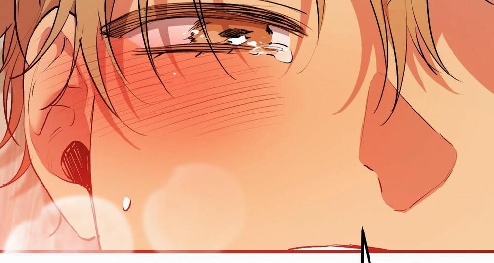 Những Chú Thỏ Của Hapypy 43 trang 153