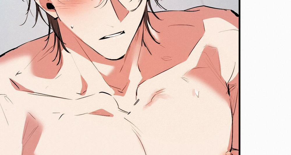 Những Chú Thỏ Của Hapypy 43 trang 157