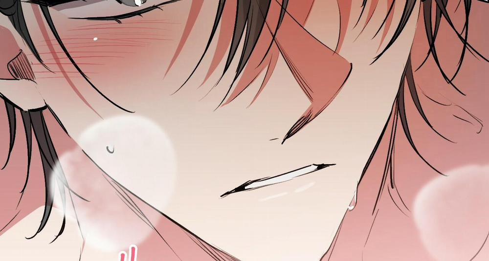 Những Chú Thỏ Của Hapypy 43 trang 161