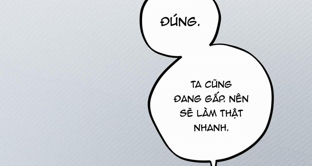 Những Chú Thỏ Của Hapypy 43 trang 164