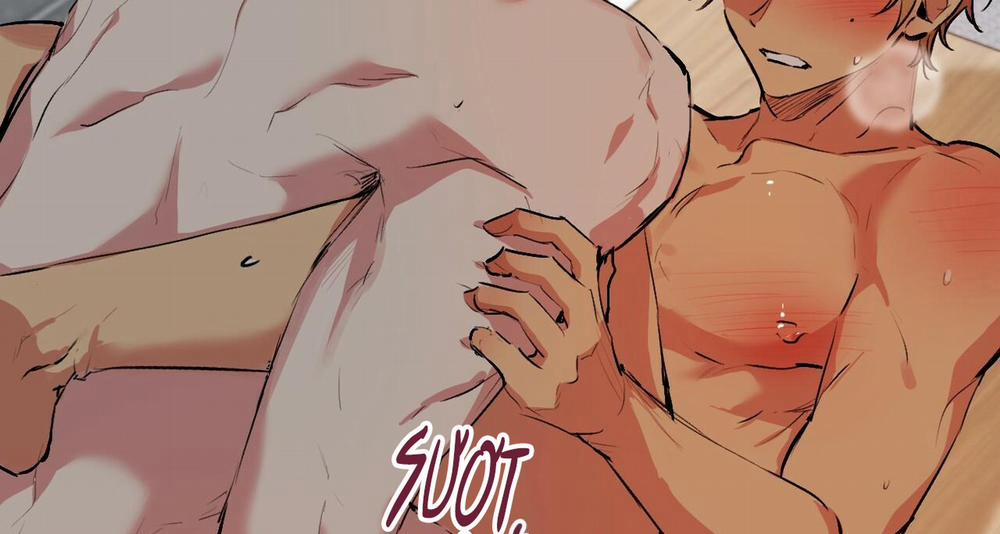 Những Chú Thỏ Của Hapypy 43 trang 166