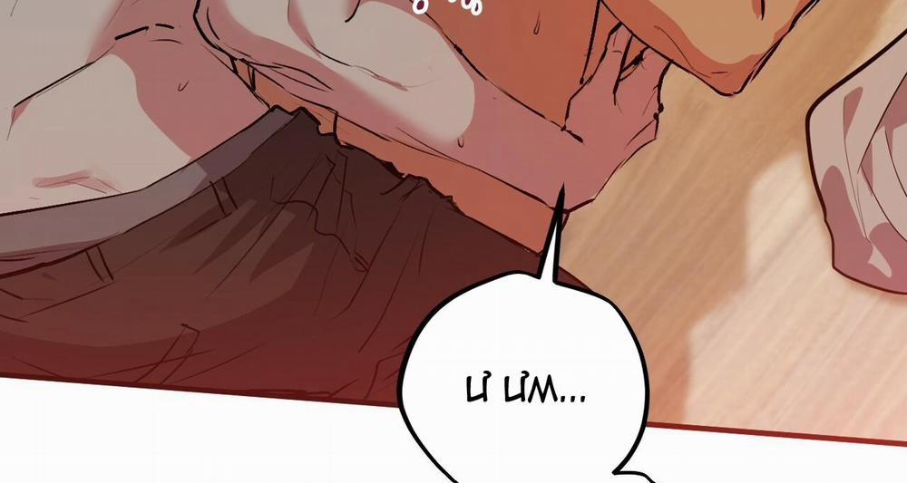 Những Chú Thỏ Của Hapypy 43 trang 167