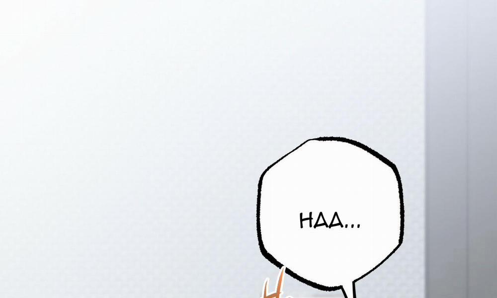 Những Chú Thỏ Của Hapypy 43 trang 17