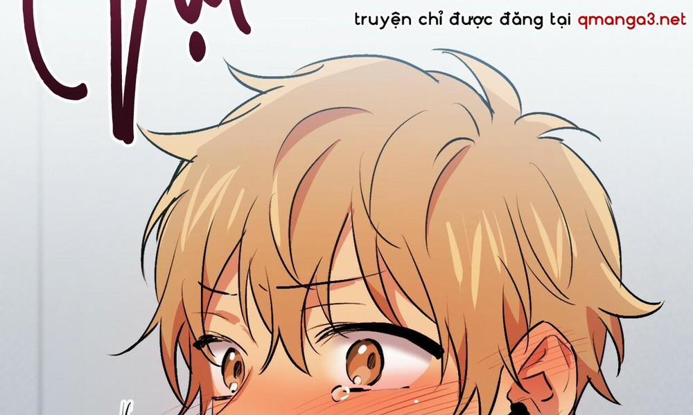 Những Chú Thỏ Của Hapypy 43 trang 187