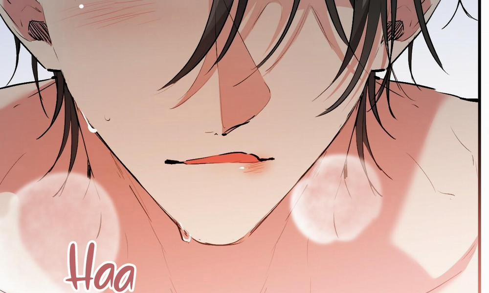 Những Chú Thỏ Của Hapypy 43 trang 196