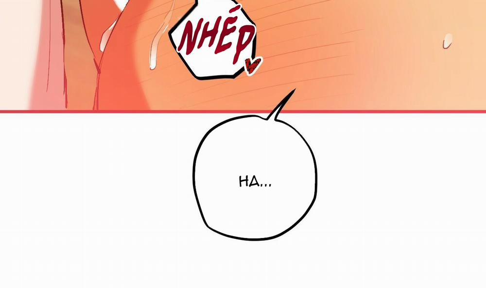 Những Chú Thỏ Của Hapypy 43 trang 218