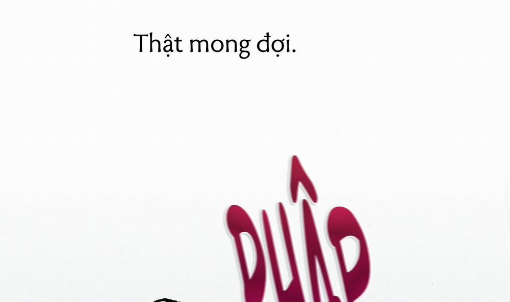 Những Chú Thỏ Của Hapypy 43 trang 220