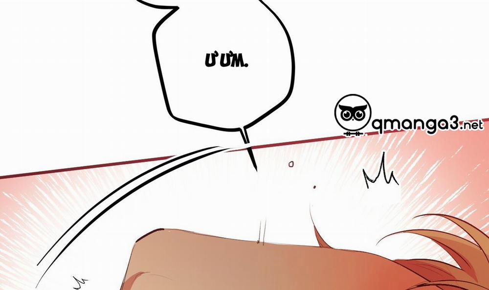 Những Chú Thỏ Của Hapypy 43 trang 226