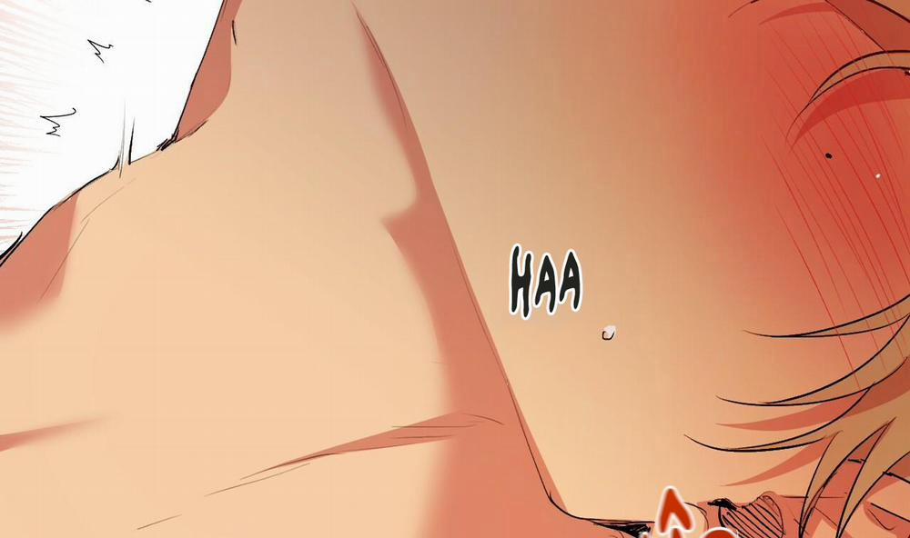 Những Chú Thỏ Của Hapypy 43 trang 227