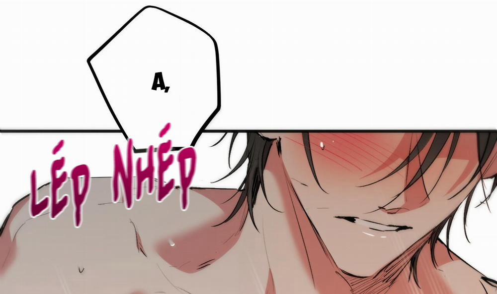 Những Chú Thỏ Của Hapypy 43 trang 237