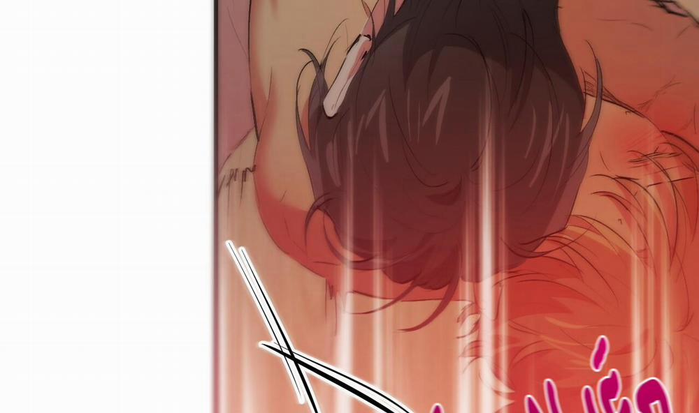 Những Chú Thỏ Của Hapypy 43 trang 244