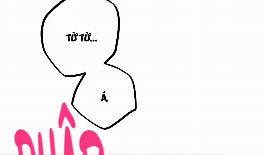 Những Chú Thỏ Của Hapypy 43 trang 248