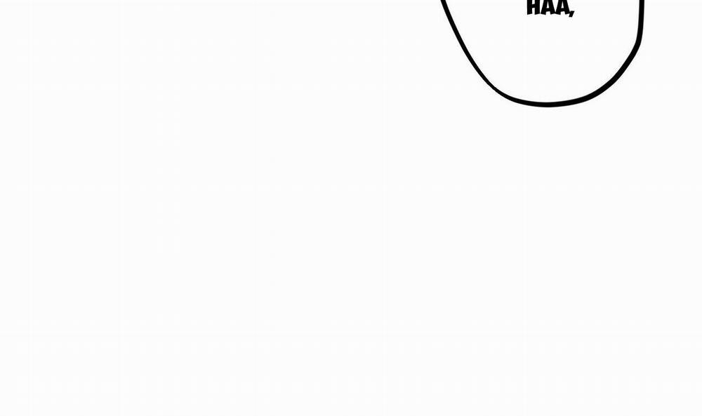 Những Chú Thỏ Của Hapypy 43 trang 251