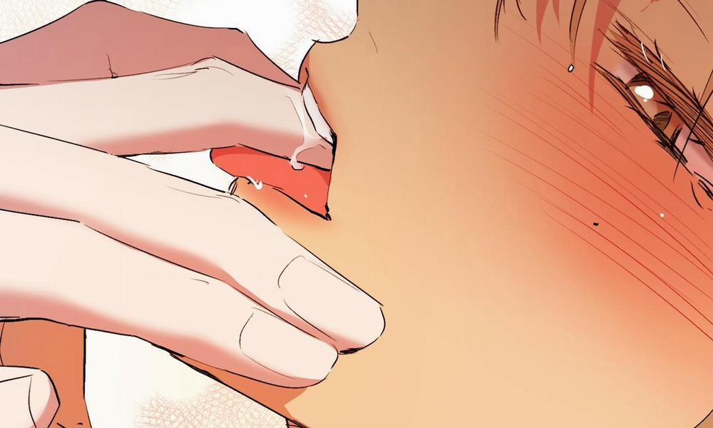 Những Chú Thỏ Của Hapypy 43 trang 261