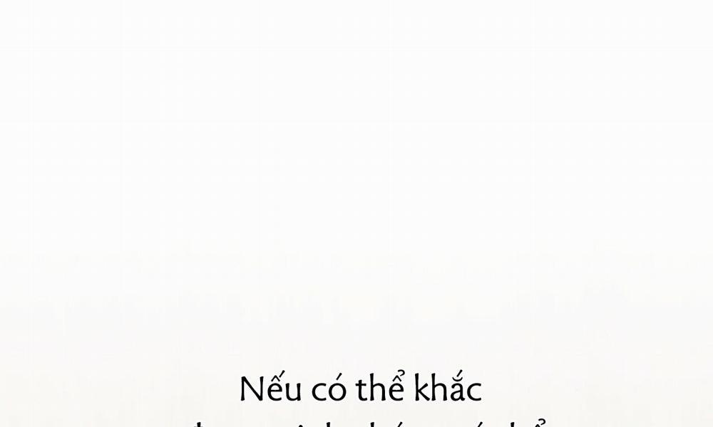 Những Chú Thỏ Của Hapypy 43 trang 265