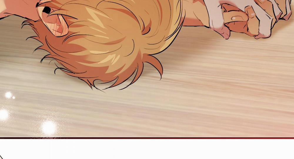 Những Chú Thỏ Của Hapypy 43 trang 277