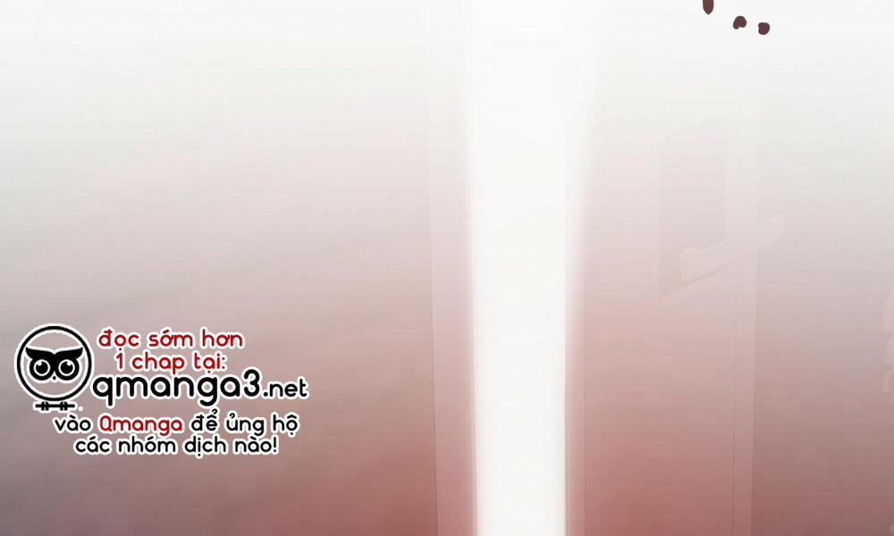 Những Chú Thỏ Của Hapypy 43 trang 3