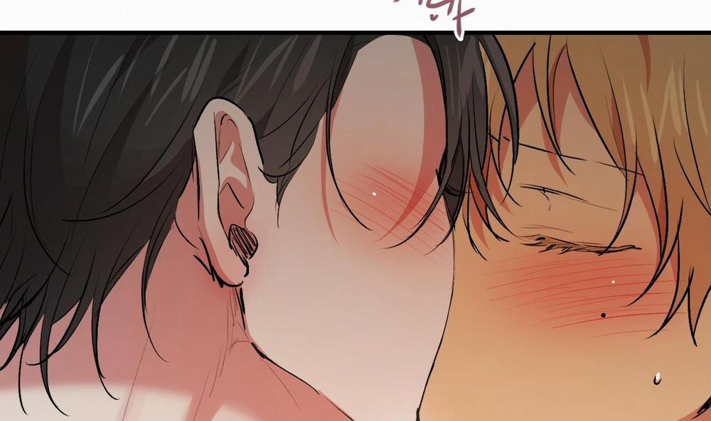 Những Chú Thỏ Của Hapypy 43 trang 39