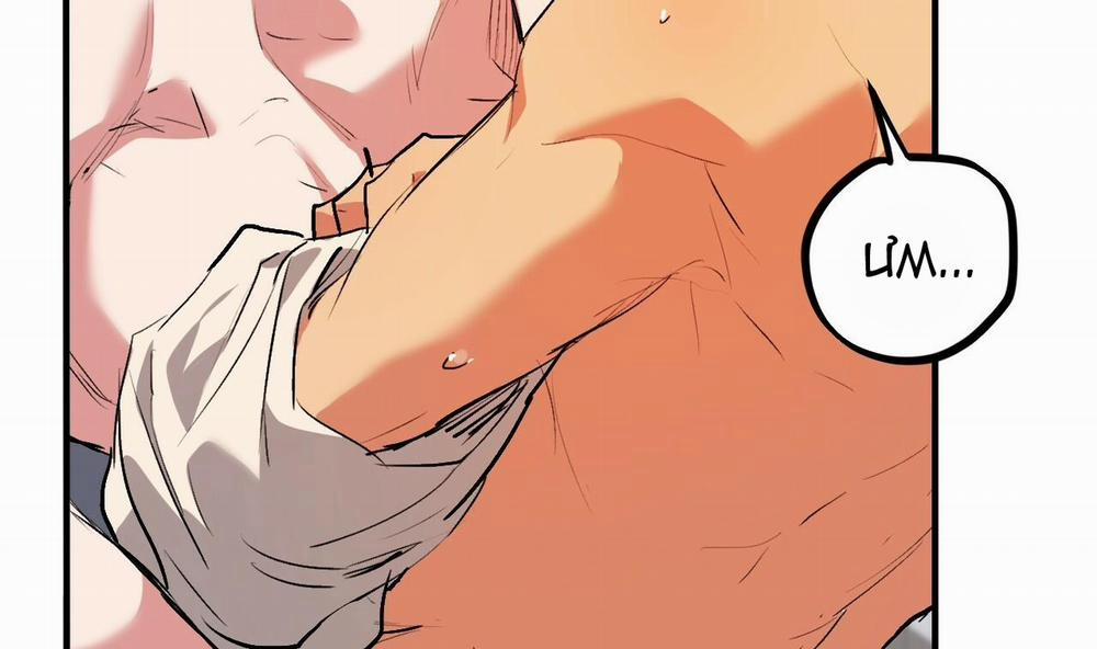 Những Chú Thỏ Của Hapypy 43 trang 44