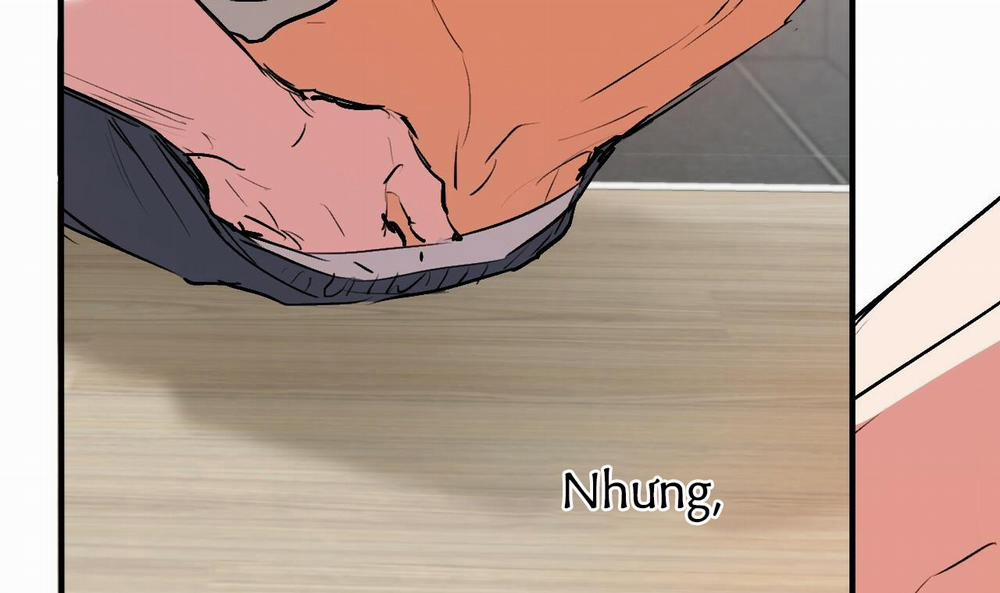 Những Chú Thỏ Của Hapypy 43 trang 45