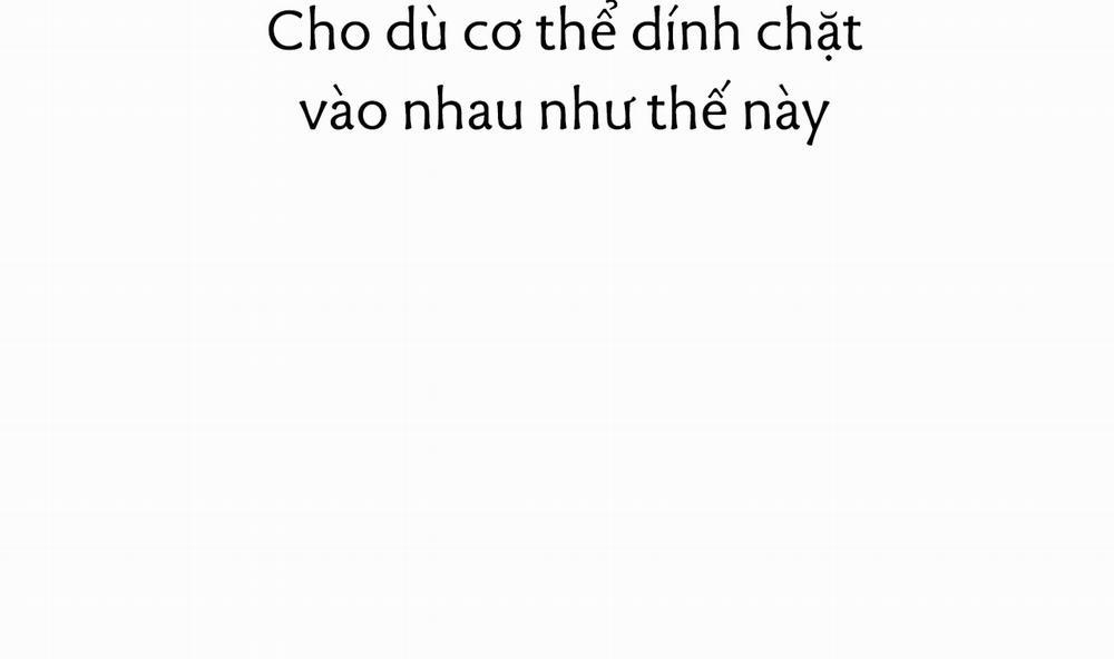 Những Chú Thỏ Của Hapypy 43 trang 50
