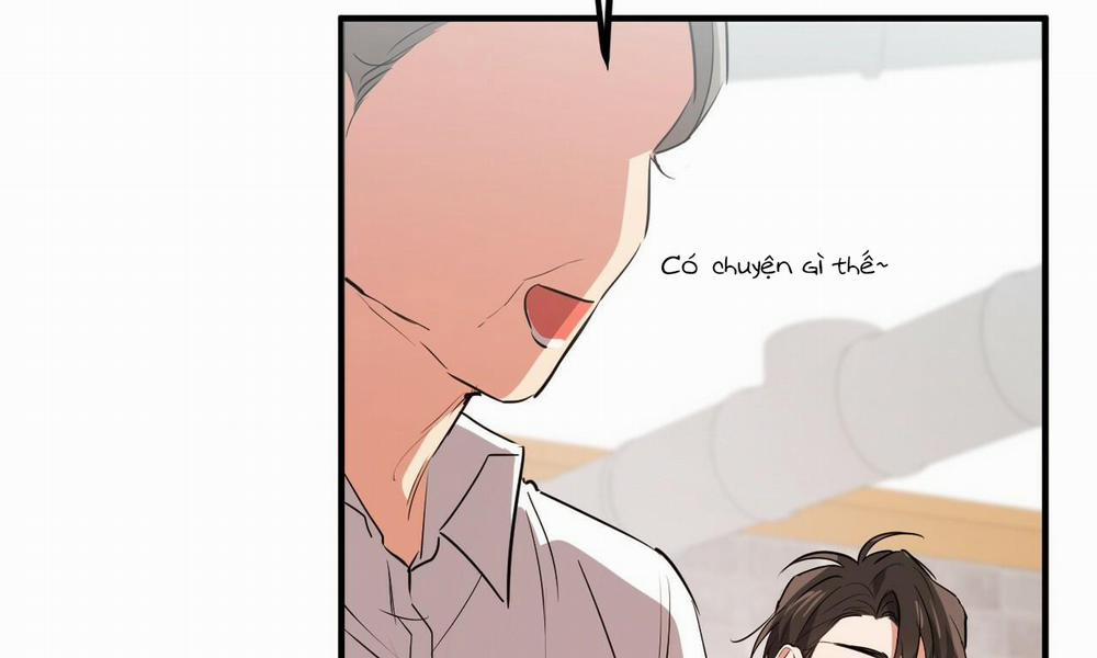 Những Chú Thỏ Của Hapypy 44 trang 11